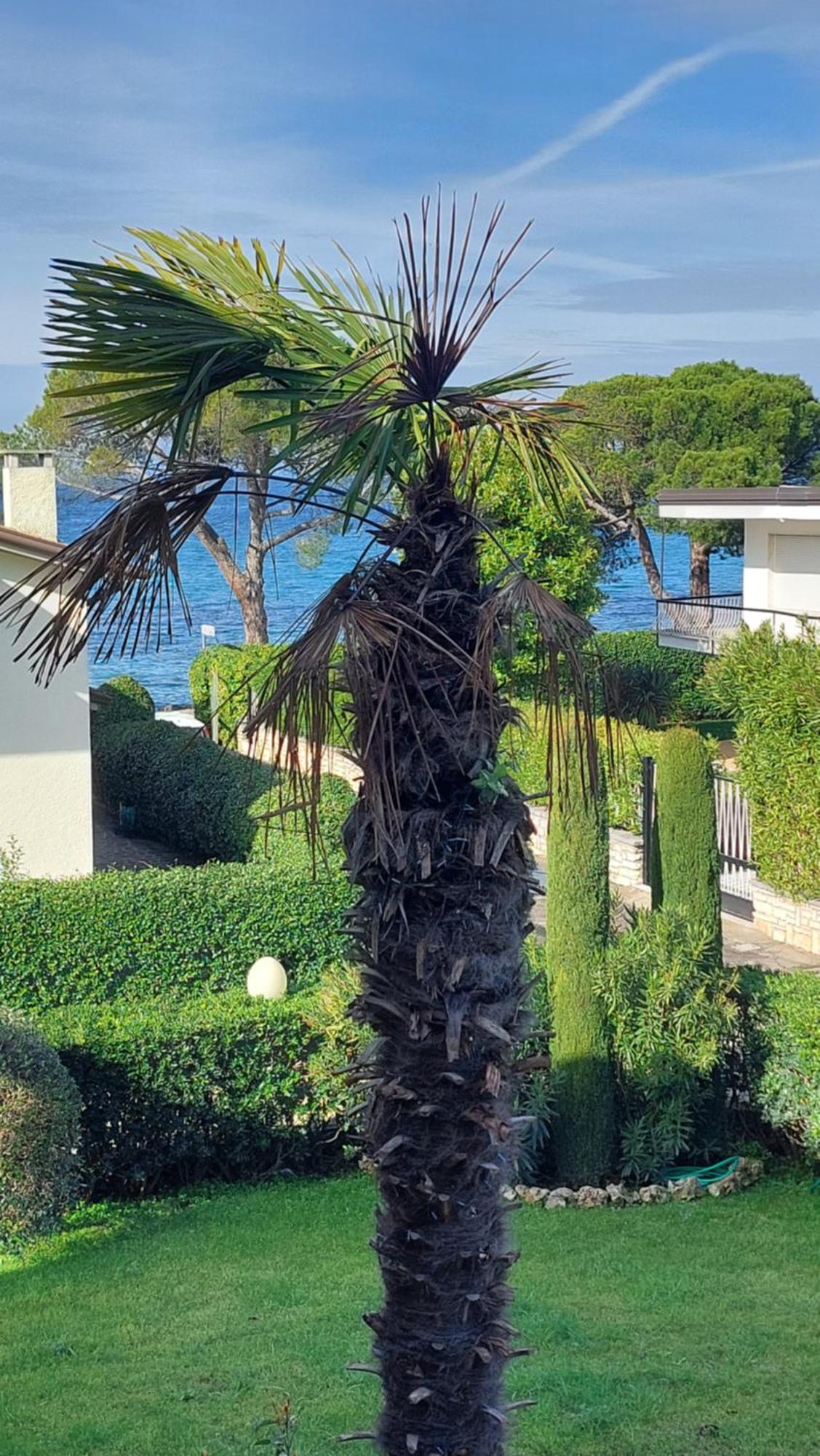 Betulla Lake View Apartment Lazise Exterior foto