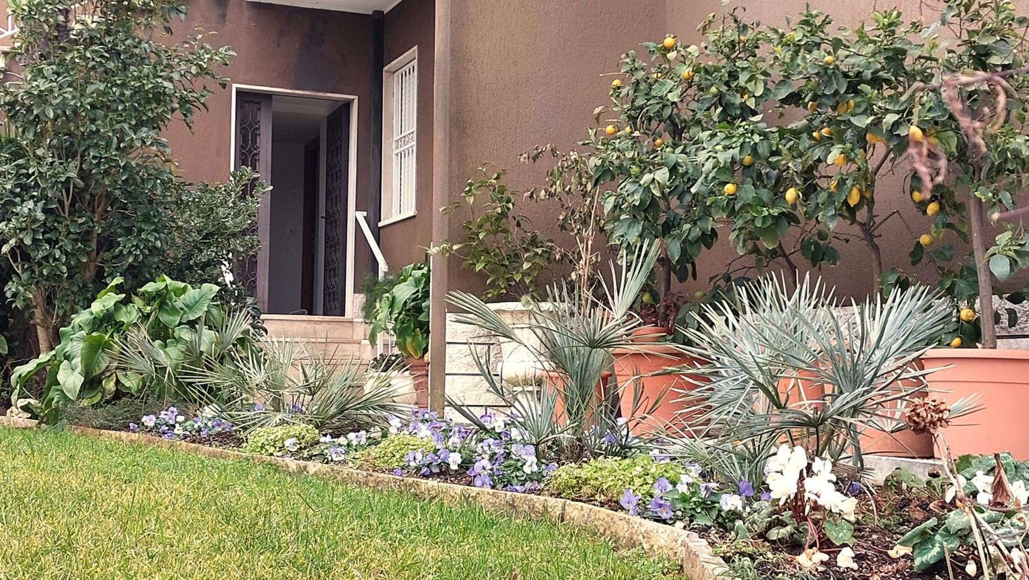 Betulla Lake View Apartment Lazise Exterior foto